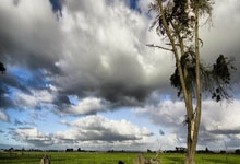 足球界最新动态曝光，球员备战准备