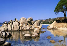 犹他爵士客场取胜排名逐渐攀升