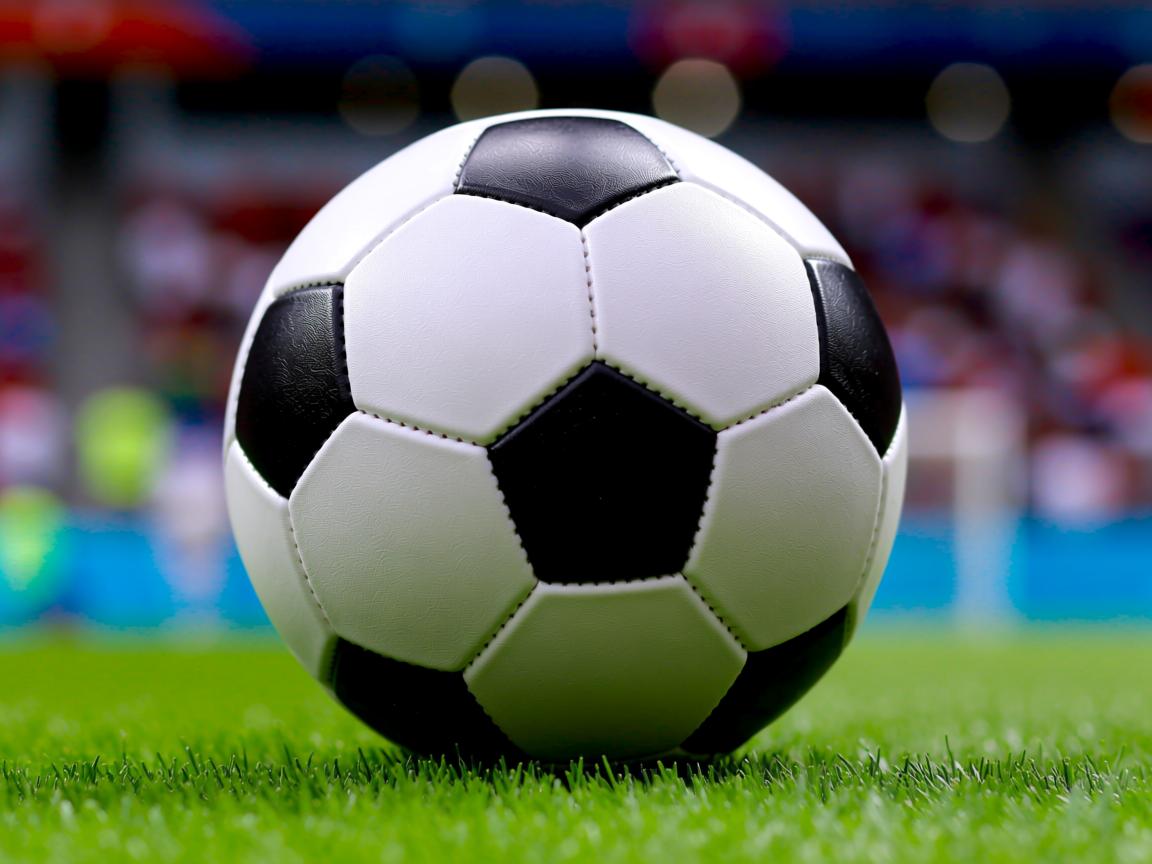 在线投注平台-美男队蝉联混合泳冠军六连冠，男子混合泳亚军  第3张